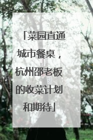 菜园直通城市餐桌，杭州邵老板的收菜计划和期待