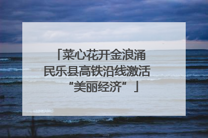 菜心花开金浪涌 民乐县高铁沿线激活“美丽经济”