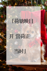 荷塘映日开 赏荷正当时