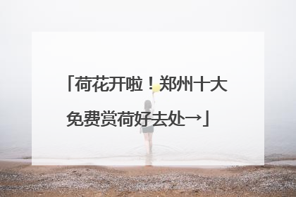 荷花开啦！郑州十大免费赏荷好去处→