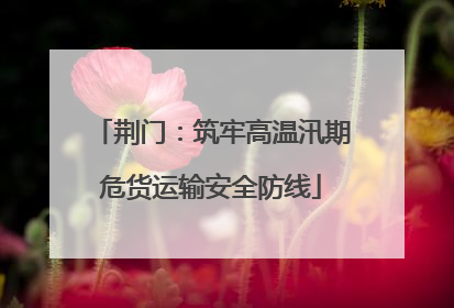 荆门：筑牢高温汛期危货运输安全防线