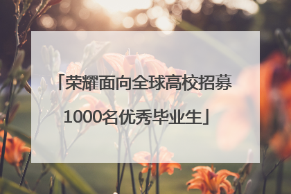 荣耀面向全球高校招募1000名优秀毕业生