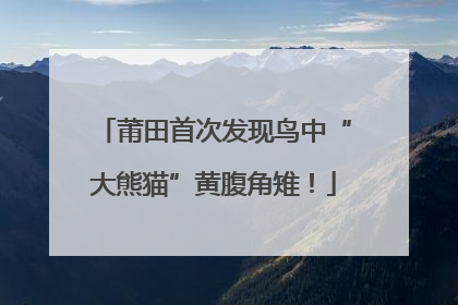 莆田首次发现鸟中“大熊猫”黄腹角雉！