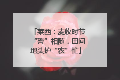 莱西：麦收时节“警”相随，田间地头护“农”忙