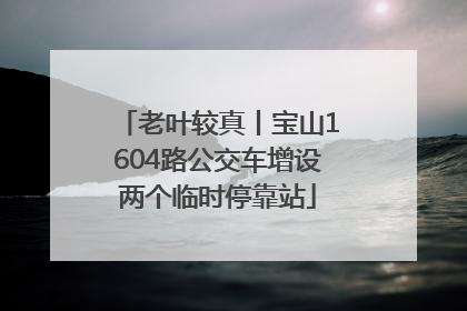 老叶较真丨宝山1604路公交车增设两个临时停靠站
