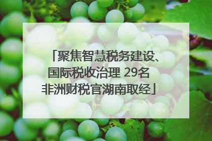 聚焦智慧税务建设、国际税收治理 29名非洲财税官湖南取经