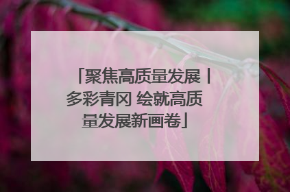聚焦高质量发展丨多彩青冈 绘就高质量发展新画卷