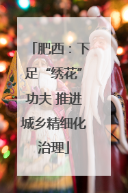 肥西：下足“绣花”功夫 推进城乡精细化治理