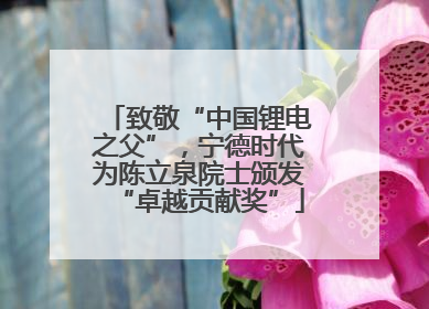 致敬“中国锂电之父”，宁德时代为陈立泉院士颁发“卓越贡献奖”