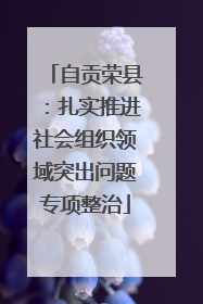 自贡荣县：扎实推进社会组织领域突出问题专项整治