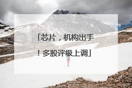 芯片，机构出手！多股评级上调
