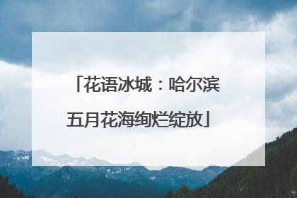 花语冰城：哈尔滨五月花海绚烂绽放