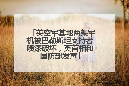 英空军基地两架军机被巴勒斯坦支持者喷漆破坏，英首相和国防部发声