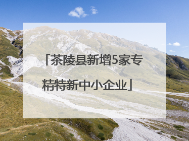 茶陵县新增5家专精特新中小企业