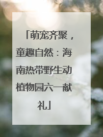 萌宠齐聚，童趣自然：海南热带野生动植物园六一献礼