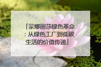 蒙娜丽莎绿色革命：从绿色工厂到低碳生活的价值传递