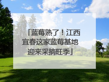 蓝莓熟了！江西宜春这家蓝莓基地迎来采摘旺季