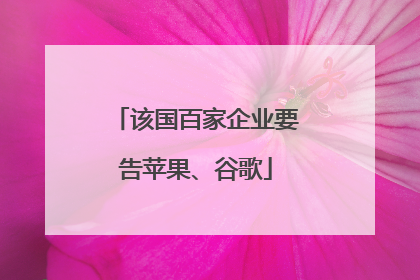 该国百家企业要告苹果、谷歌