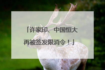 许家印、中国恒大再被签发限消令！