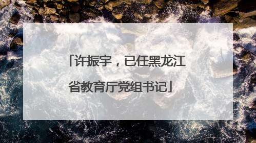 许振宇，已任黑龙江省教育厅党组书记
