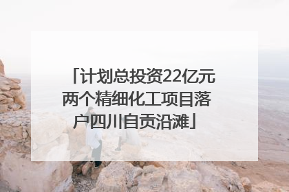 计划总投资22亿元 两个精细化工项目落户四川自贡沿滩