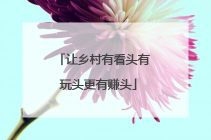 让乡村有看头有玩头更有赚头