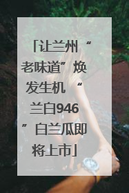 让兰州“老味道”焕发生机 “兰白946”白兰瓜即将上市