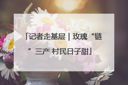 记者走基层｜玫瑰“链”三产 村民日子甜