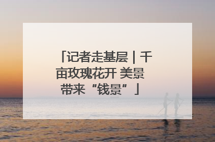记者走基层｜千亩玫瑰花开 美景带来“钱景”
