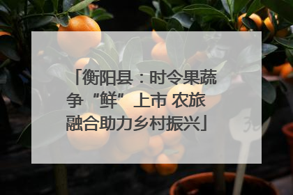 衡阳县：时令果蔬争“鲜”上市 农旅融合助力乡村振兴