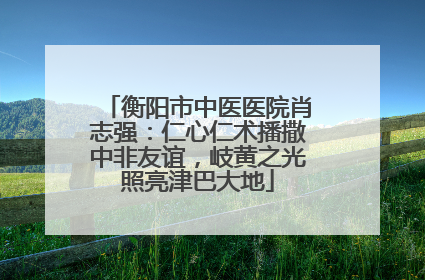 衡阳市中医医院肖志强：仁心仁术播撒中非友谊，岐黄之光照亮津巴大地