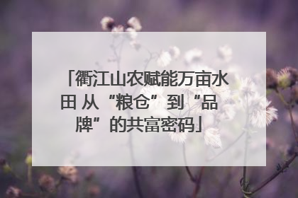 衢江山农赋能万亩水田 从“粮仓”到“品牌”的共富密码