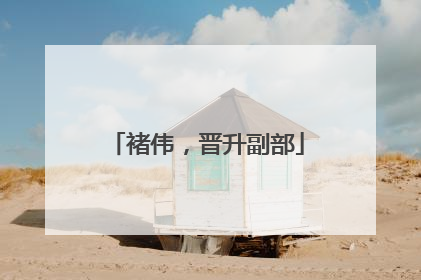 褚伟，晋升副部