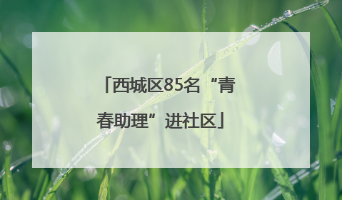 西城区85名“青春助理”进社区