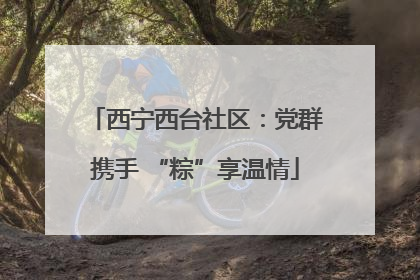 西宁西台社区：党群携手 “粽”享温情