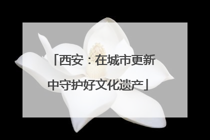 西安：在城市更新中守护好文化遗产