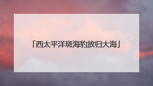 西太平洋斑海豹放归大海