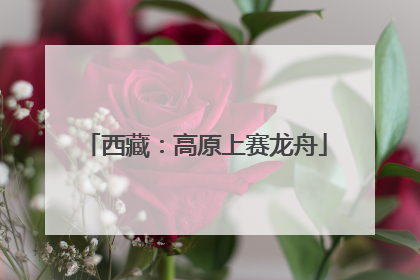 西藏：高原上赛龙舟