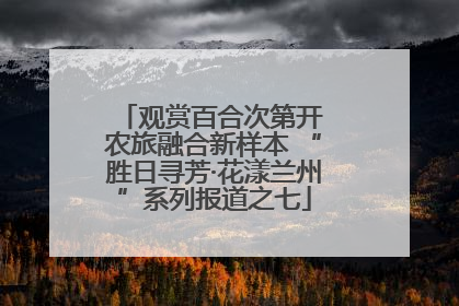 观赏百合次第开 农旅融合新样本 “胜日寻芳·花漾兰州”系列报道之七