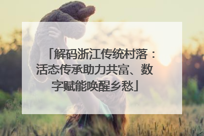 解码浙江传统村落：活态传承助力共富、数字赋能唤醒乡愁