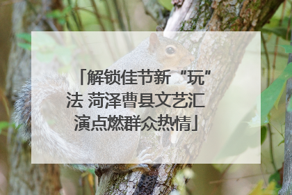 解锁佳节新“玩”法 菏泽曹县文艺汇演点燃群众热情