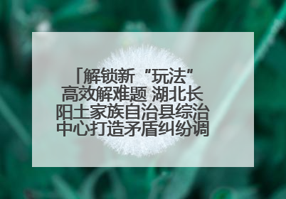解锁新“玩法” 高效解难题 湖北长阳土家族自治县综治中心打造矛盾纠纷调处“终点站”