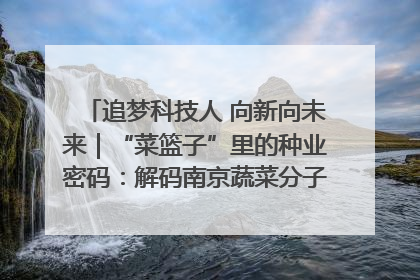 追梦科技人 向新向未来｜“菜篮子”里的种业密码：解码南京蔬菜分子育种的创新之路