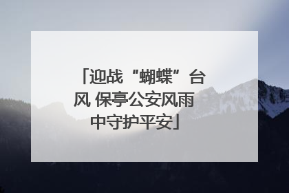 迎战“蝴蝶”台风 保亭公安风雨中守护平安