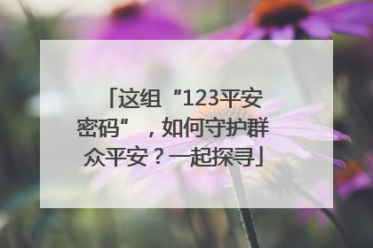 这组“123平安密码”，如何守护群众平安？一起探寻