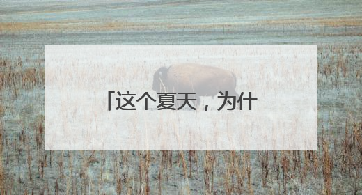 这个夏天，为什么建议你去日照？看央媒镜头下的“经山历海”
