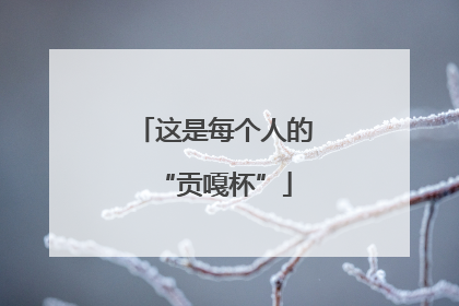 这是每个人的“贡嘎杯”