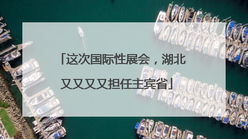 这次国际性展会，湖北又又又又担任主宾省