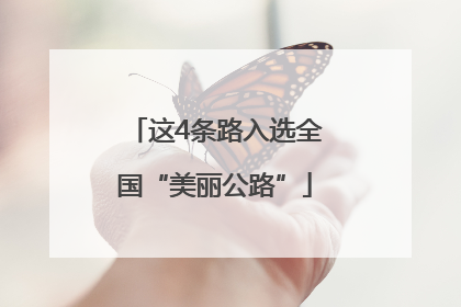 这4条路入选全国“美丽公路”