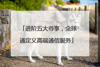 进阶五大尊享，全球通定义高端通信服务